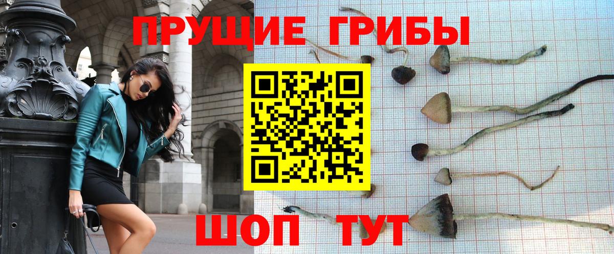 Тимашёвск  Галлюциногенные грибы GOLDEN TEACHER  Вход с VPN  Галлюциногенные грибы прущие грибы 