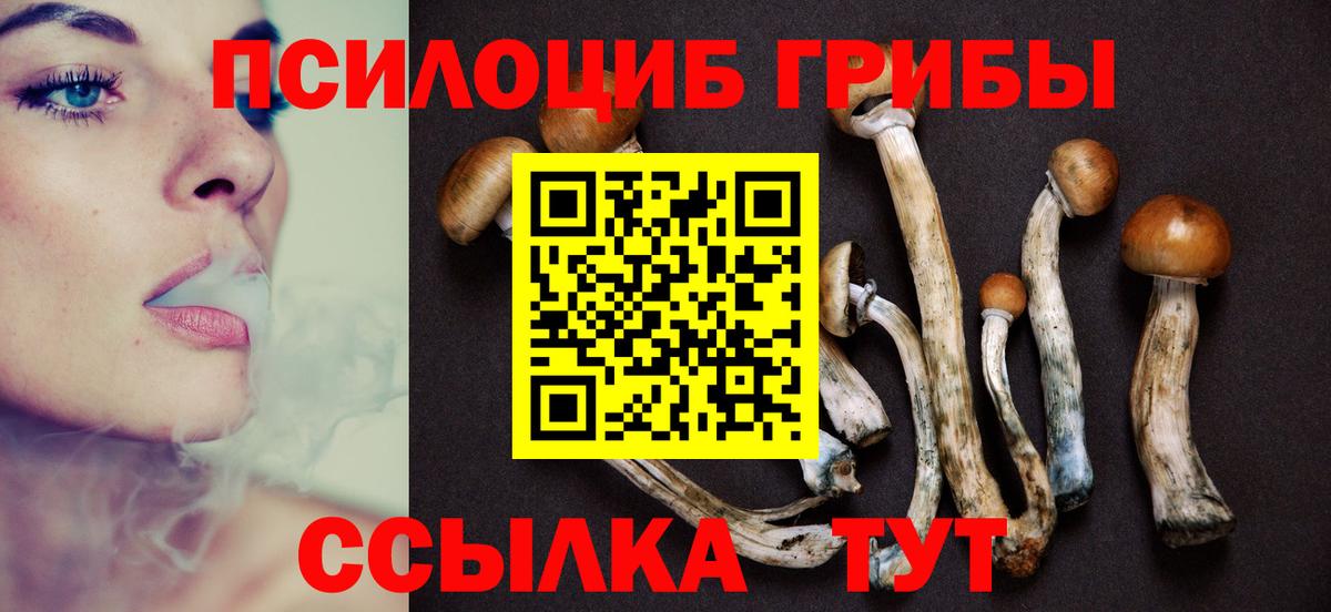 Галлюциногенные грибы прущие грибы Тимашёвск