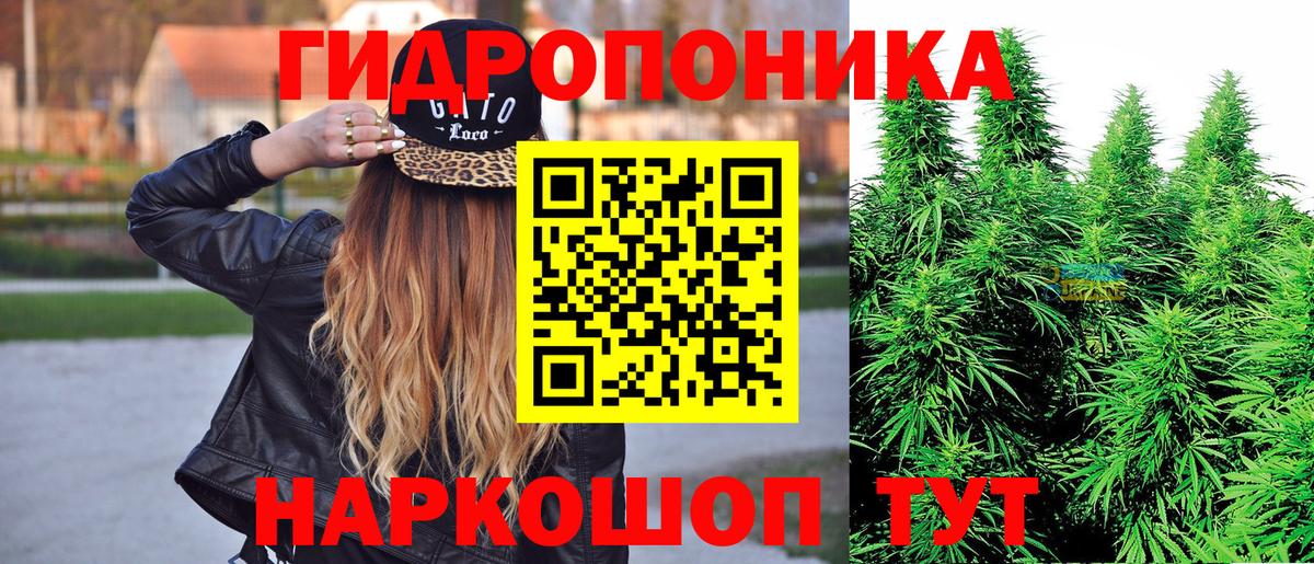 Бошки марихуана LSD WEED  Бошки Шишки ГИДРОПОН  Тимашёвск  Конопля сатива  Вход с VPN 